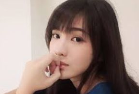 精选管理套件